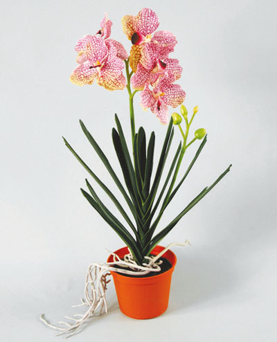 890-1-05 Wanda Orchid 46cm